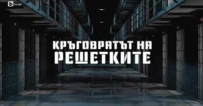 Кръговратът на решетките, коментар на криминалния психолог Тодор Тодоров